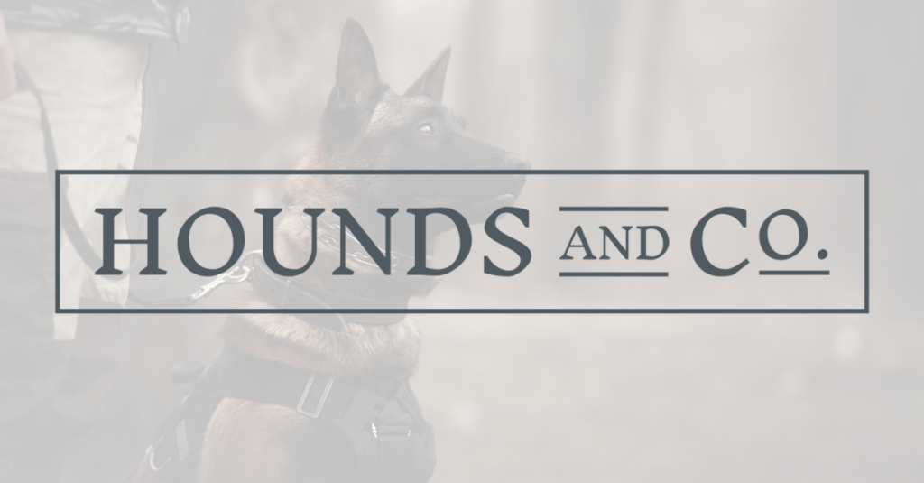 Hounds and Co. Unleashes a New Look In-Store and Online 1 Hounds and Co. Blog logo